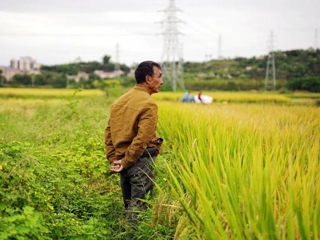 从“杰克”到“二狗”：一个纪录片拍摄者的村镇漂流｜深度报道(图4)