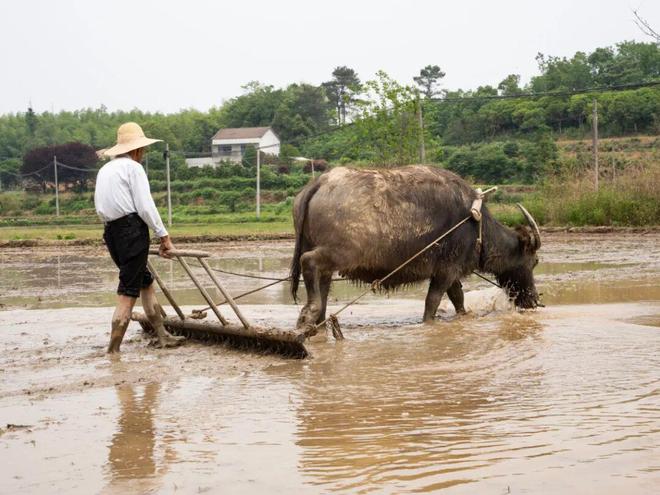 从“杰克”到“二狗”：一个纪录片拍摄者的村镇漂流｜深度报道(图7)