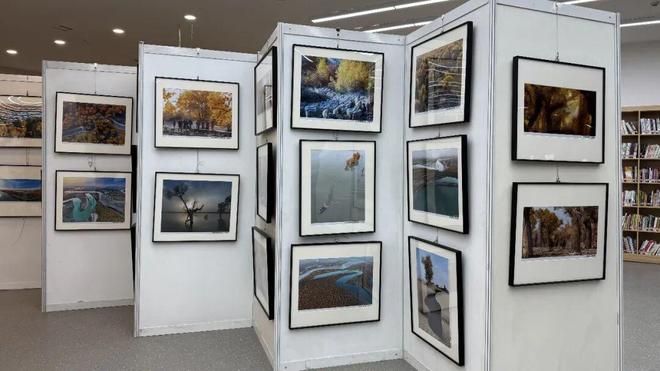 “胡杨礼赞·时光留影”美术摄影展走进沙雅县(图1)