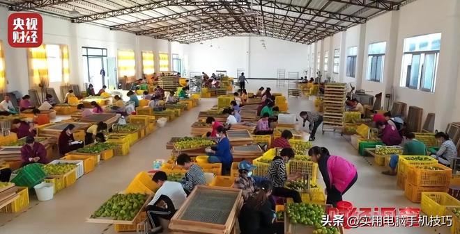 央视爆新骗局记者冒险暗访拍摄大量老百姓受骗严重危及健康(图3)