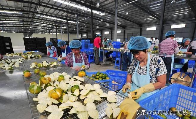 央视爆新骗局记者冒险暗访拍摄大量老百姓受骗严重危及健康(图16)