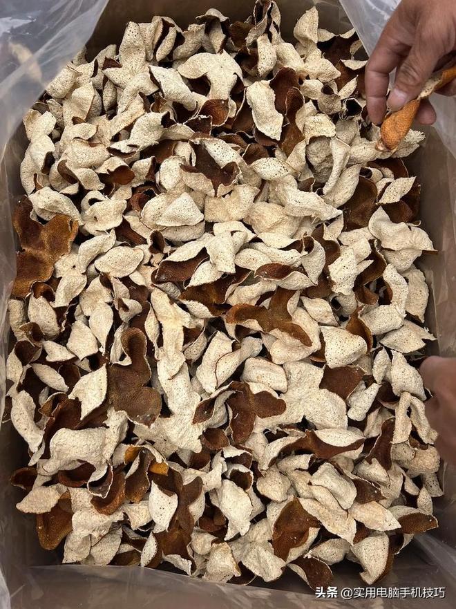 央视爆新骗局记者冒险暗访拍摄大量老百姓受骗严重危及健康(图17)