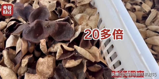 央视爆新骗局记者冒险暗访拍摄大量老百姓受骗严重危及健康(图21)