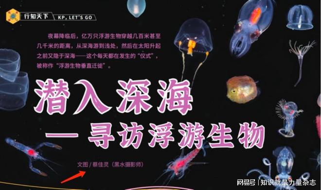 黑水摄影师蔡佳灵回信厦门市海沧北附学校及参与“鹭岛计划”学子(图1)