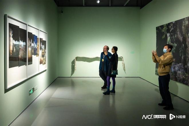 “广州影像三年展2025”启幕在算法时代追问观看的本质(图6)