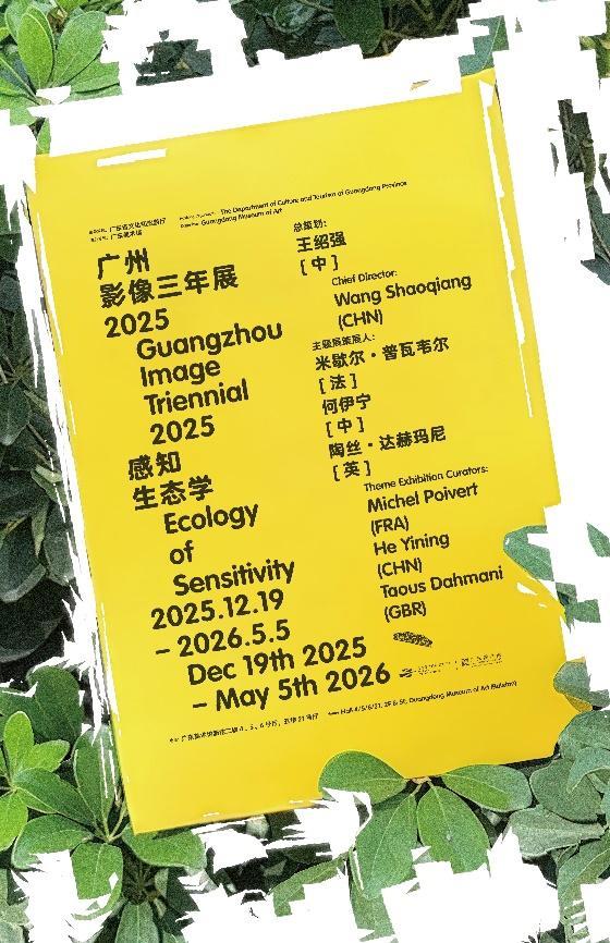 “广州影像三年展2025”启幕：以“感知生态学”重构数字时代的视觉对话(图1)