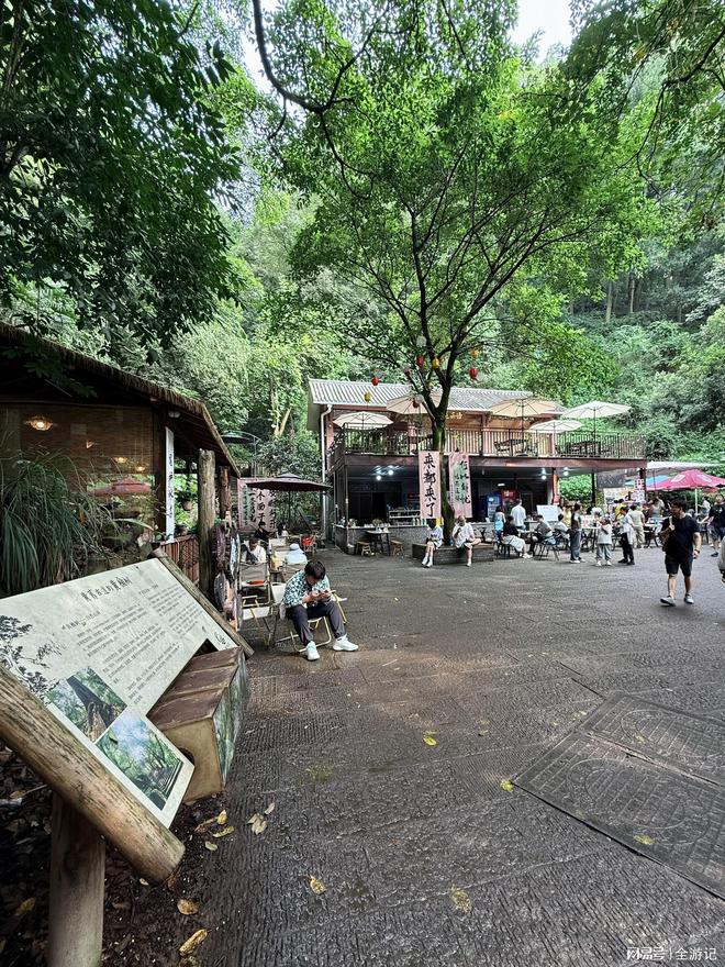 25年12月重庆4天行程导游推荐｜认证＋真实好评(图1)