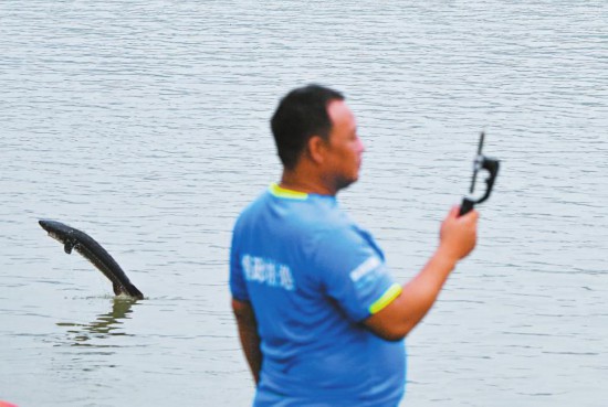 碧水生新长江回响(图2)