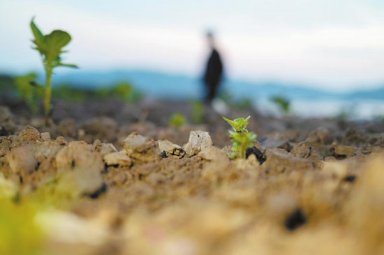 碧水生新长江回响(图5)