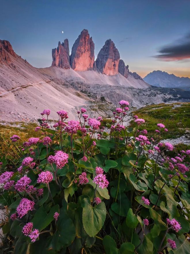 骁龙影像去往「未至之境」(图6)