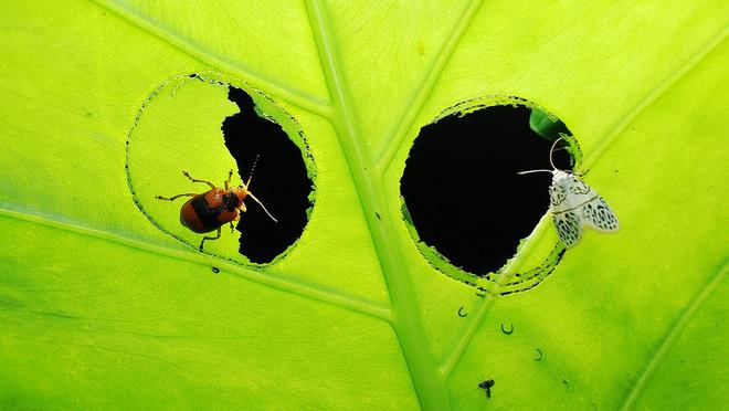 骁龙影像去往「未至之境」(图3)