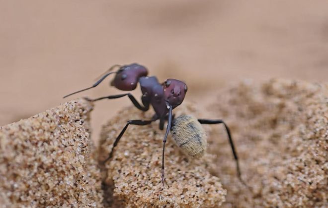 骁龙影像去往「未至之境」(图4)