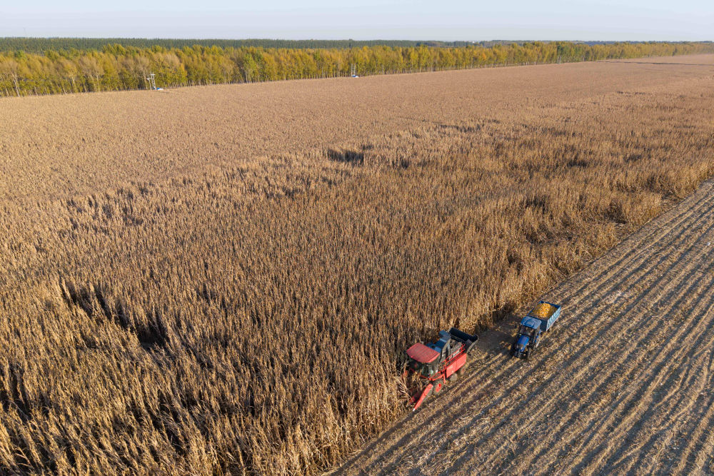 镜观中国｜影像回眸“十四五”——全面深化改革扩大高水平开放(图10)