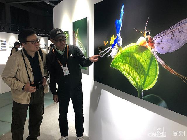 这场光影盛会已经启幕听听上海摄影家讲述参展作品背后的故事(图9)