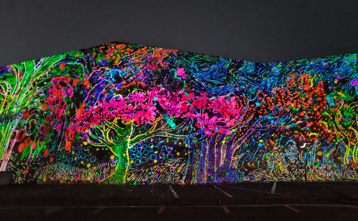 2024“流光绘影”国际光影艺术展映在重庆开幕(图2)