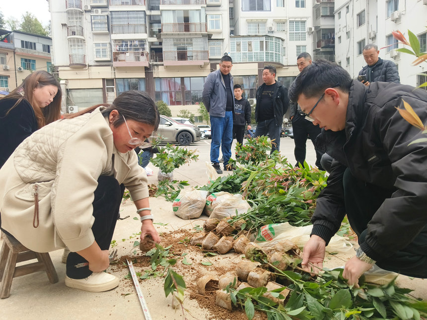 平塘:抢抓春日植绿“黄金期”筑牢“中国天眼”生态屏障(图1)