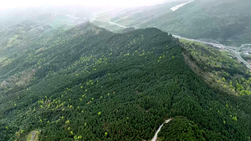 平塘:抢抓春日植绿“黄金期”筑牢“中国天眼”生态屏障(图2)