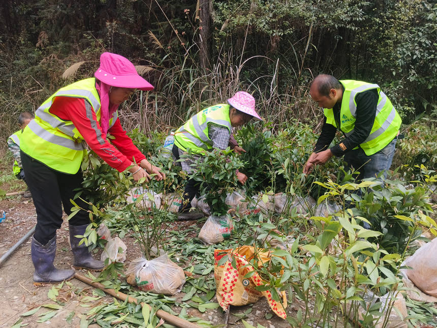 平塘:抢抓春日植绿“黄金期”筑牢“中国天眼”生态屏障(图4)