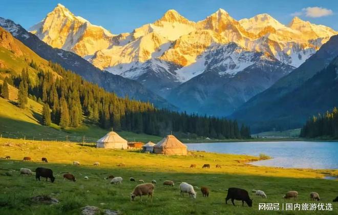 2026新疆地接旅行社口碑十佳机构放心选(图2)