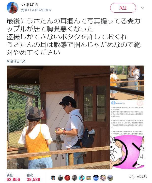 人肉他!!这对情侣拎着兔子耳朵拍照被日本网友狂喷(图3)