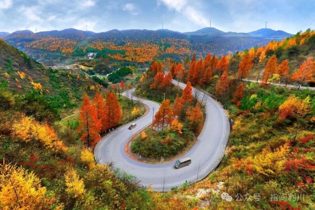 喜报！利川一候鸟摄影师照片入展平遥国际摄影大展(图2)