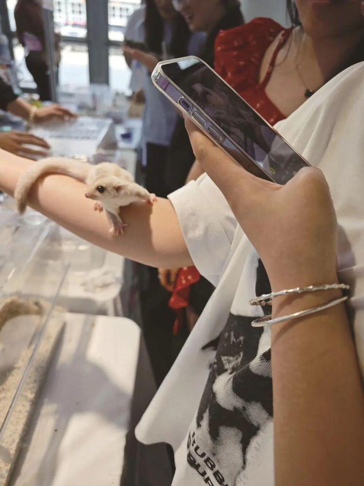 主打“低打扰、高治愈”一大批年轻人开始养这类宠物！(图2)