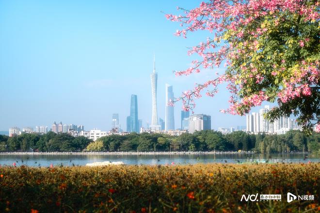 主播说｜走进广东热点人物世界记录终身学习的7个故事(图9)