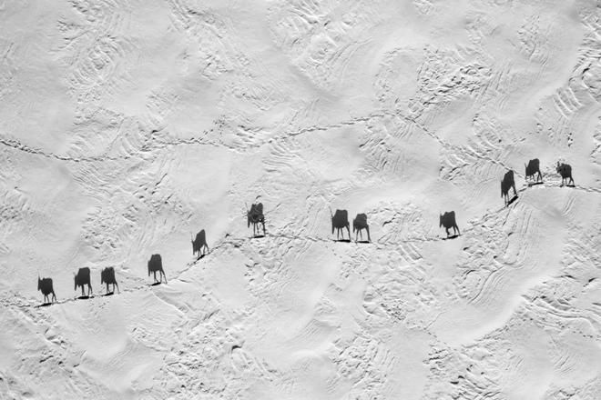 2024IPA自然航拍类获奖作品欣赏：从镜头中看见世界之美！(图5)