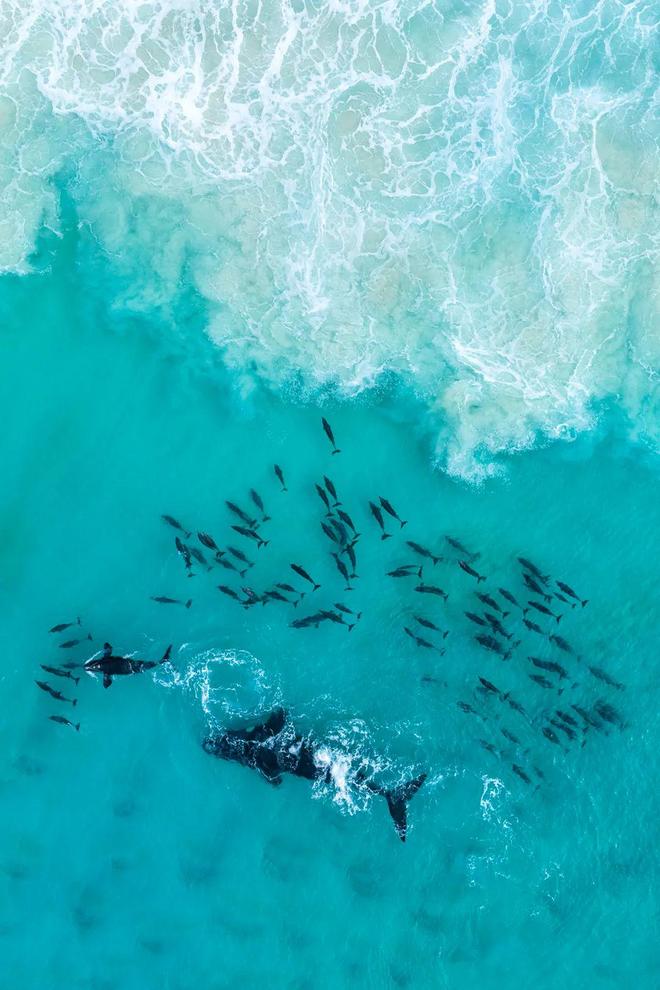 2024IPA自然航拍类获奖作品欣赏：从镜头中看见世界之美！(图4)